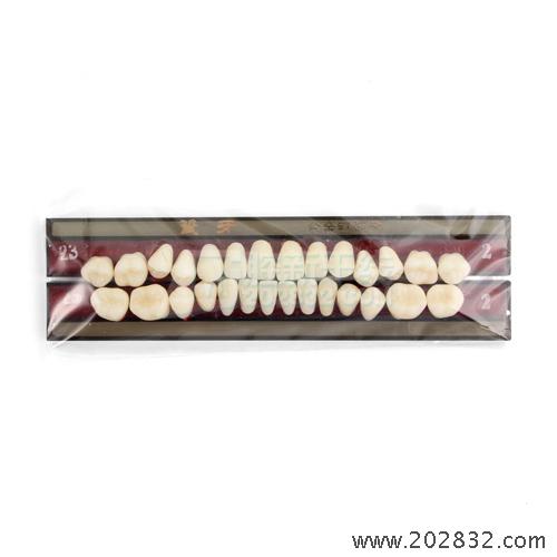 上齿 上海奇异 合金钉瓷牙28*1 全口  23  2 合成树脂牙 合成树脂片  树脂牙 树脂片 树脂
