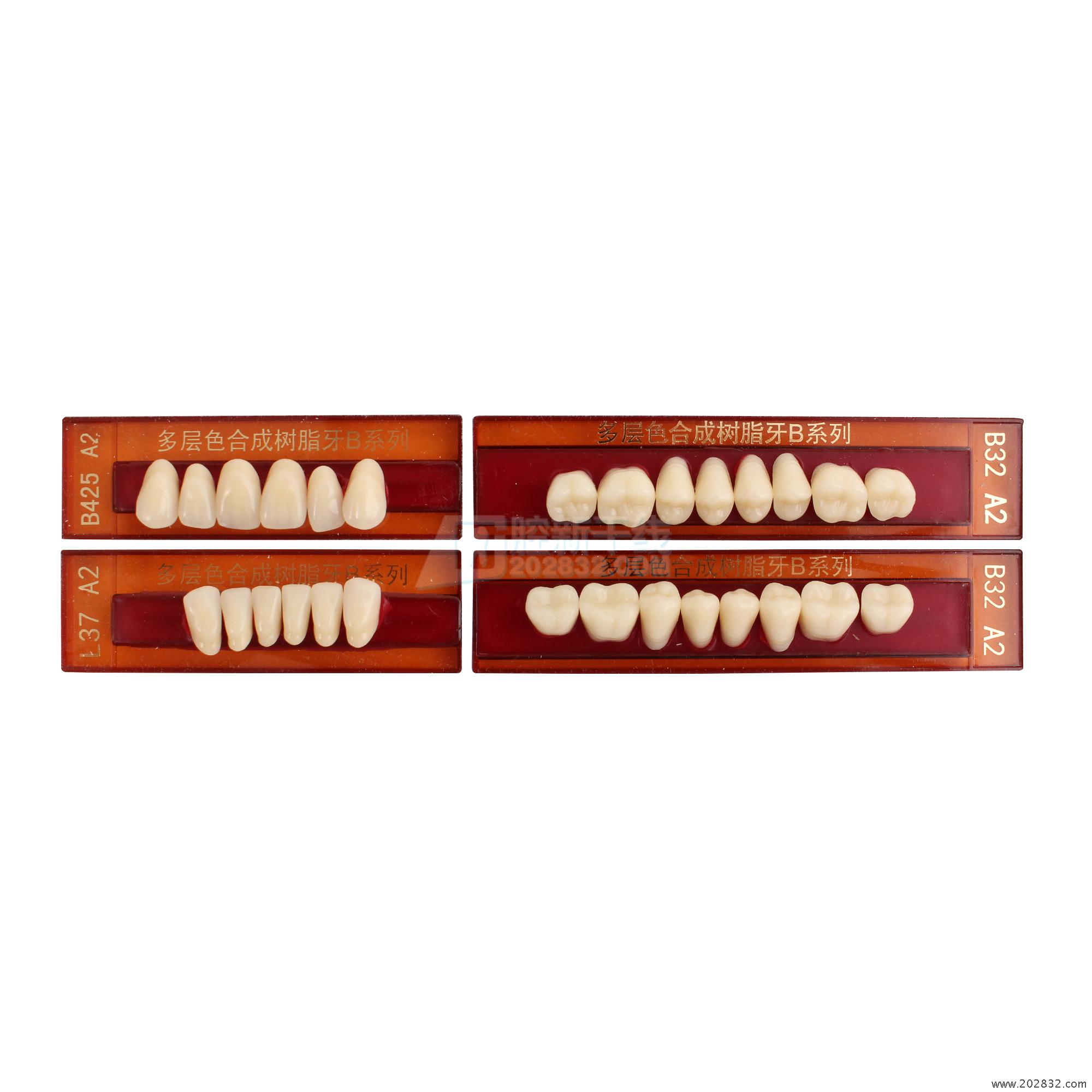 多层色合成树脂牙-上海新世纪齿科材料有限公司