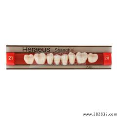 贺利氏/Heraeus 贺利氏 三层色合成树脂牙(拜耳牙) 后牙 8*1 21/28U**