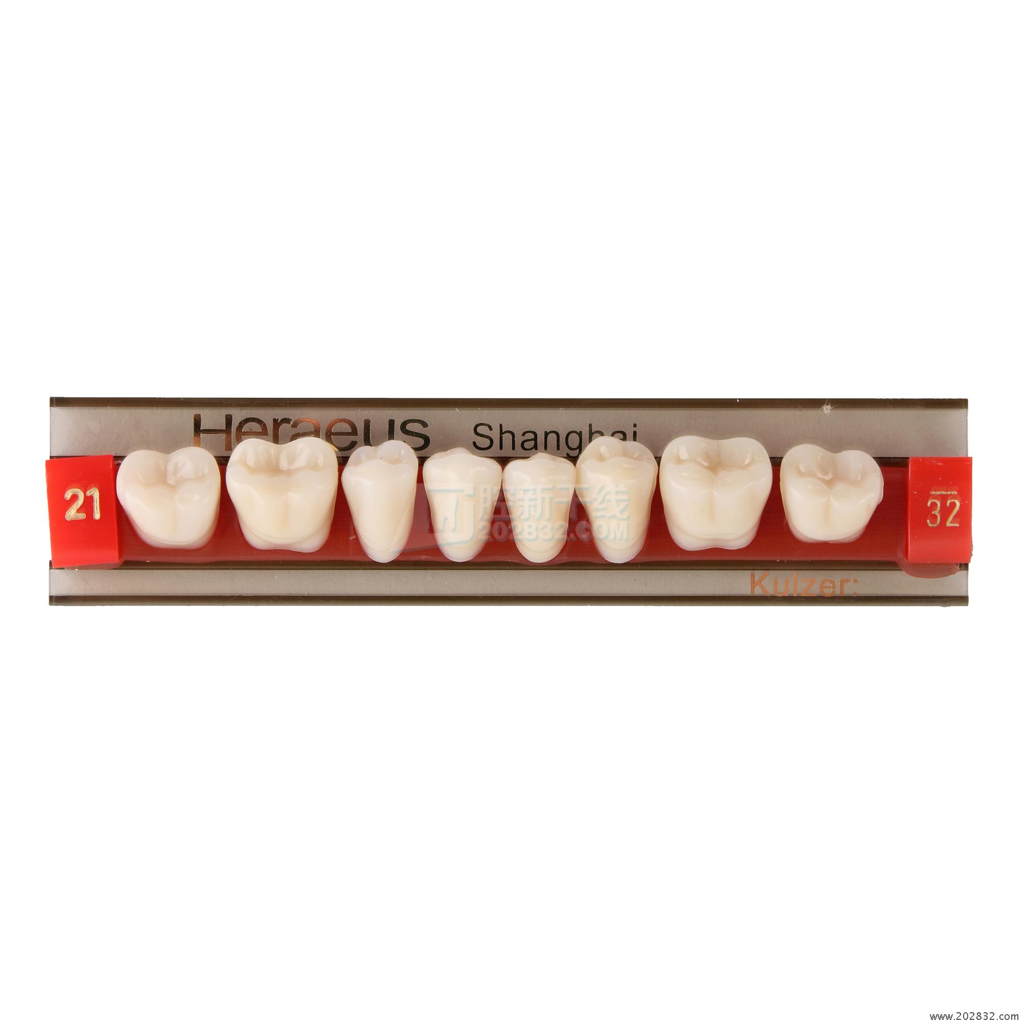 上海新世纪 塑钢牙/多层色合成树脂牙 S4 L27 M31，色号A2