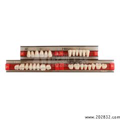 贺利氏/Heraeus 贺利氏 三层色合成树脂牙(拜耳牙) 全口 28*1 21/390 U25 28OU*