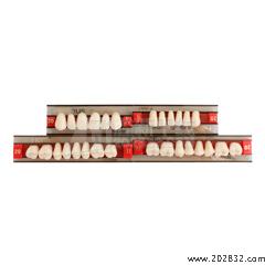 贺利氏/Heraeus 贺利氏 三层色合成树脂牙(拜耳牙) 全口 28*1 20/447 U38 32OU*