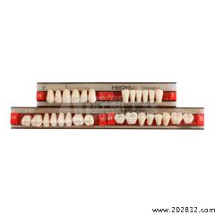 贺利氏/Heraeus 贺利氏 三层色合成树脂牙(拜耳牙) 全口 28*1 21/425 U37 32OU*