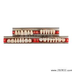 贺利氏/Heraeus 贺利氏 三层色合成树脂牙(拜耳牙) 全口 28*1 21/468 U67 32OU*