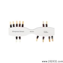 义获嘉伟瓦登特/IvoclarVivadent  IPS Empress Direct 大师级纳米美学修复树脂牙本质比色板Dentin