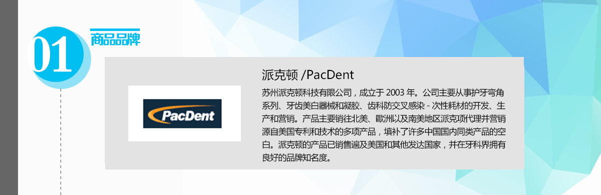 29973458389887987 派克顿-品牌说明.png