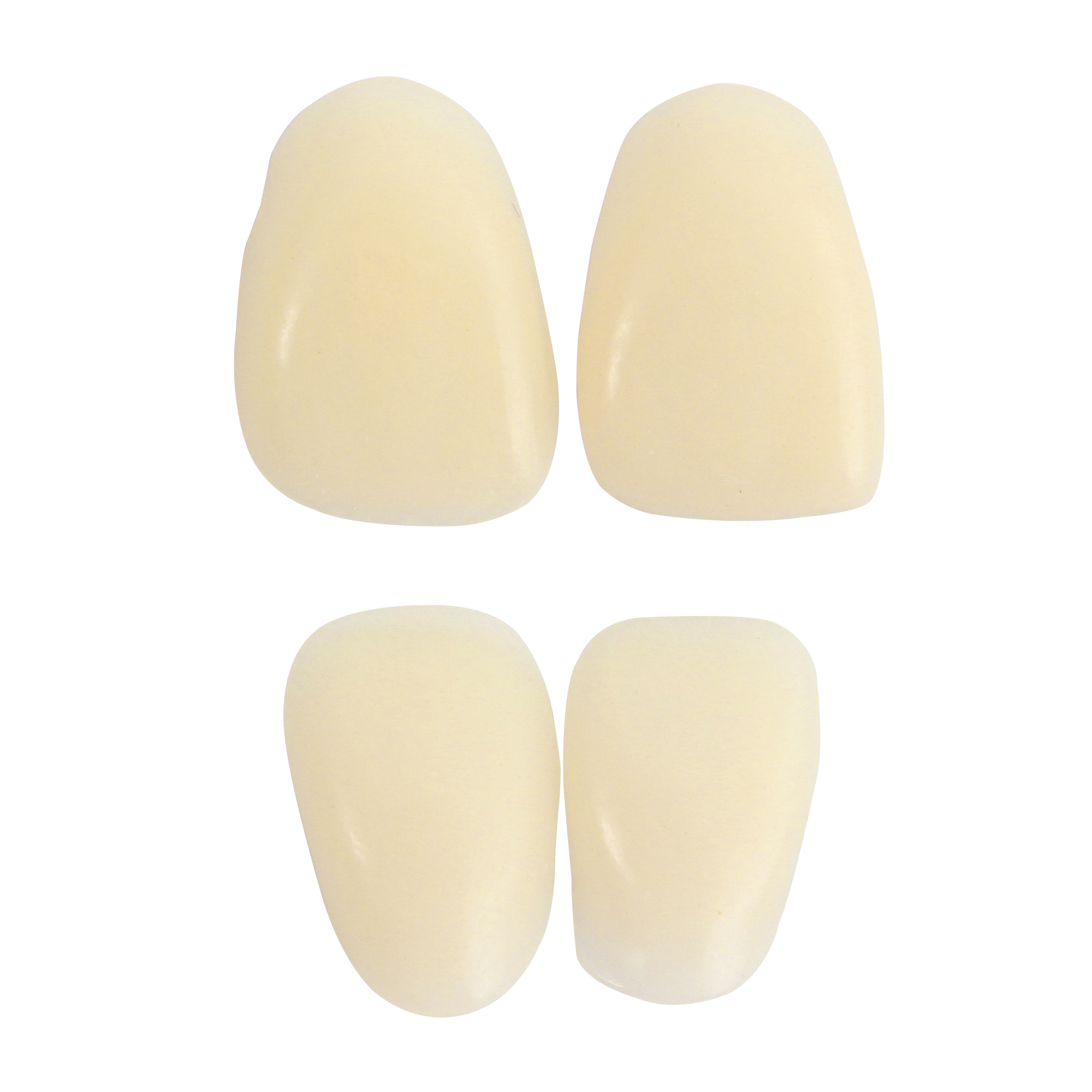 日进/NISSIN DURACROSS Physio 生理性硬质树脂牙 前牙 6*1 TS4 中号 A2 单板 塑钢牙