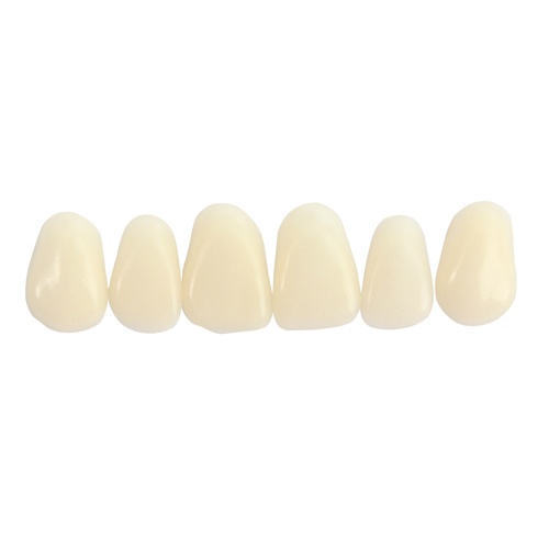 独秀山 贴面合成树脂牙 6*1 22 色号2树脂牙 假牙 活动假牙 合成树脂牙 合成牙 贴面
