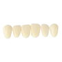 独秀山 贴面合成树脂牙 6*1 22 色号3树脂牙 假牙 活动假牙 合成树脂牙 合成牙 贴面
