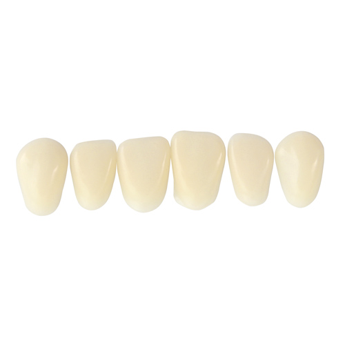 独秀山 贴面合成树脂牙 6*1 22 色号3树脂牙 假牙 活动假牙 合成树脂牙 合成牙 贴面
