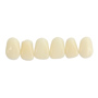 独秀山 贴面合成树脂牙 6*1 22 色号2 树脂牙 假牙 活动假牙 合成树脂牙 合成牙 贴面

