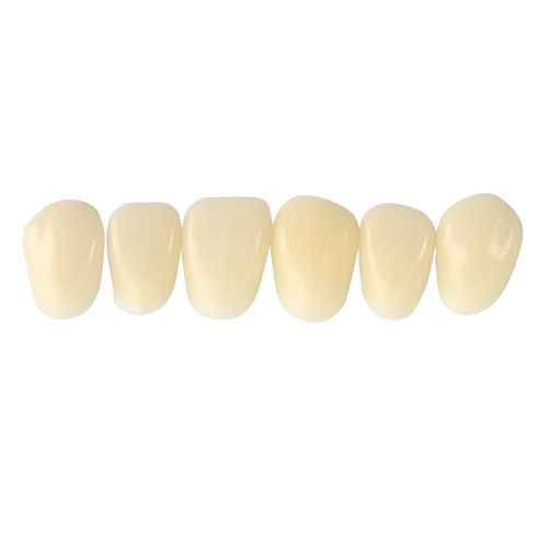 独秀山 贴面合成树脂牙 6*1 23 色号2树脂牙 假牙 活动假牙 合成树脂牙 合成牙 贴面
