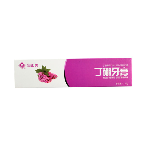 岂止美/KISSIMEE 丁硼牙膏 120g 丁香薄荷（新老包装随机发货）