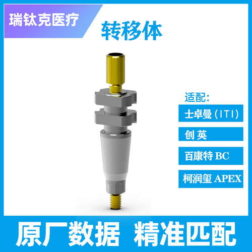 转移体 开窗式 BL RC L=30，61021333，配士卓曼