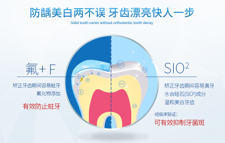 inside_正畸牙膏（新版内页1）_05-1576220572533.jpg