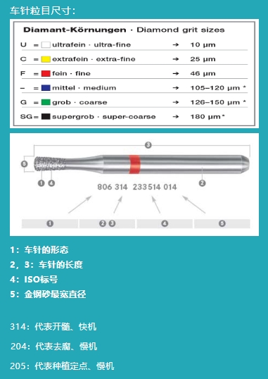 33781546291475674 640 (1).png