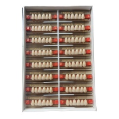  古莎/KULZER/贺利氏 三层色合成树脂牙 6*1.390*21#  16板/盒