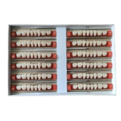 古莎/KULZER/贺利氏 拜尔牙 三层色合成树脂牙 8*1. 30下 20色号 12板/盒