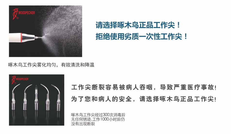 7055722138879014 1722585770876.jpg