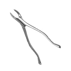 马杰斯特/Majestic 拔牙钳 成人