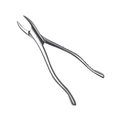 马杰斯特/Majestic 拔牙钳 成人