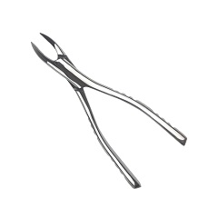 马杰斯特/Majestic 拔牙钳 儿童