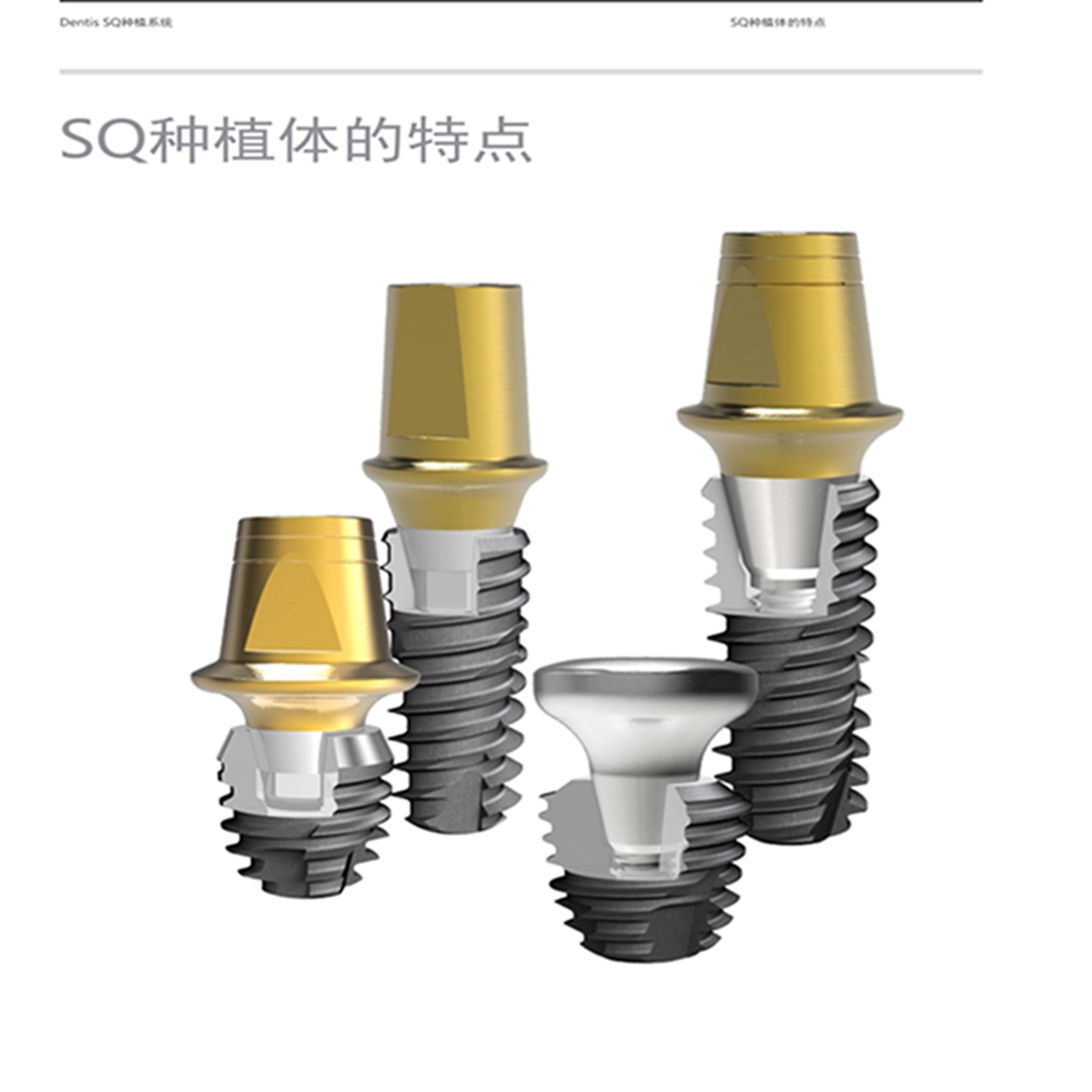 26491806328323896 1741233428994.jpg