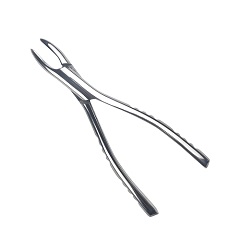 马杰斯特/Majestic 拔牙钳 儿童