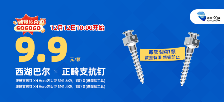 西湖巴尔支抗钉秒杀