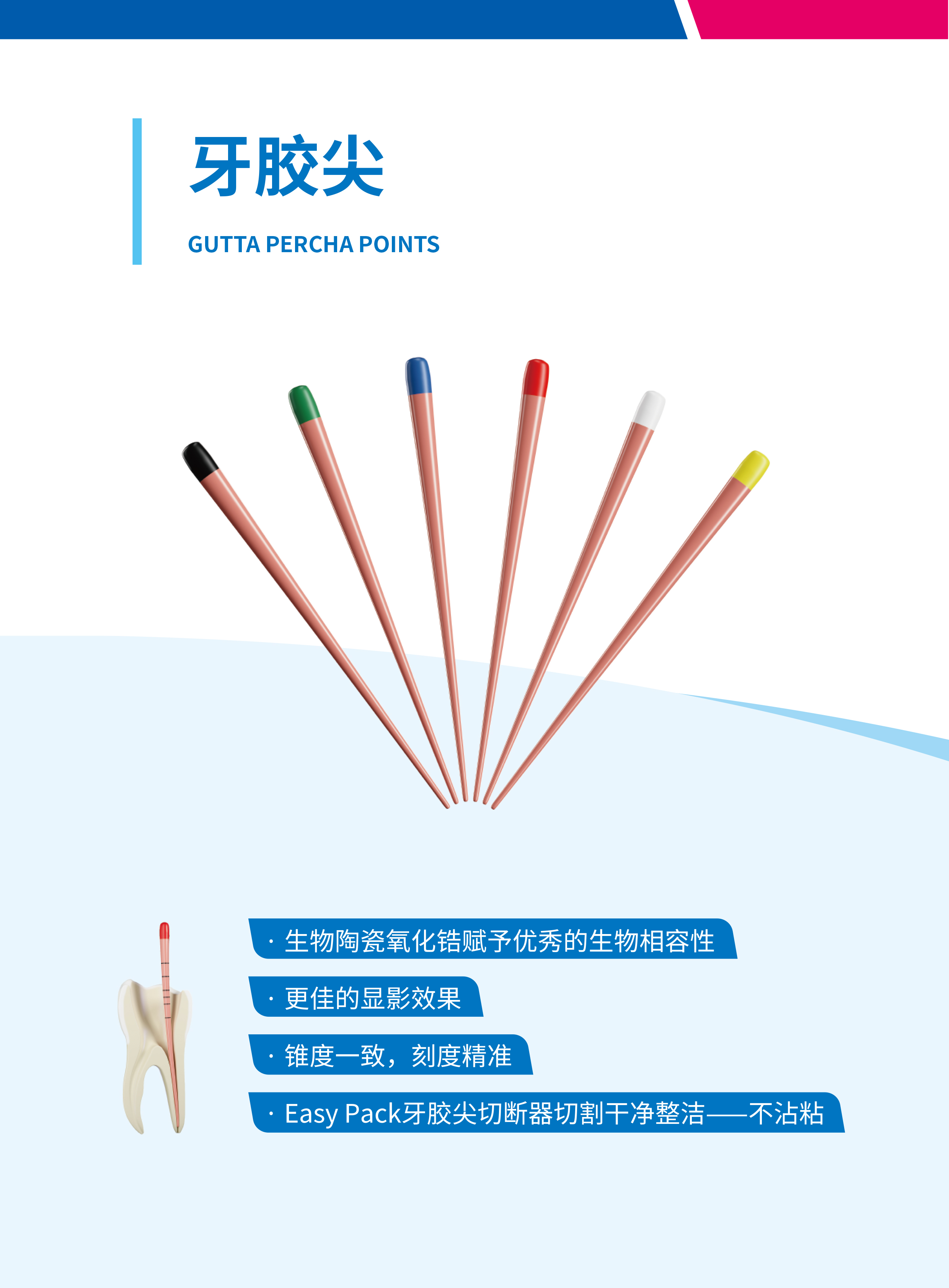牙胶尖吸潮纸尖中文图册新版-3.jpg