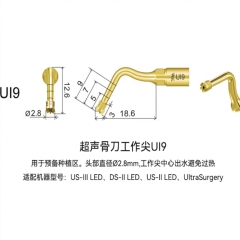 啄木鸟/WOODPECKER 超声骨刀机工作尖（UI系列 种植预备）UI9,1支/袋