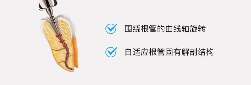 1637805601876.png