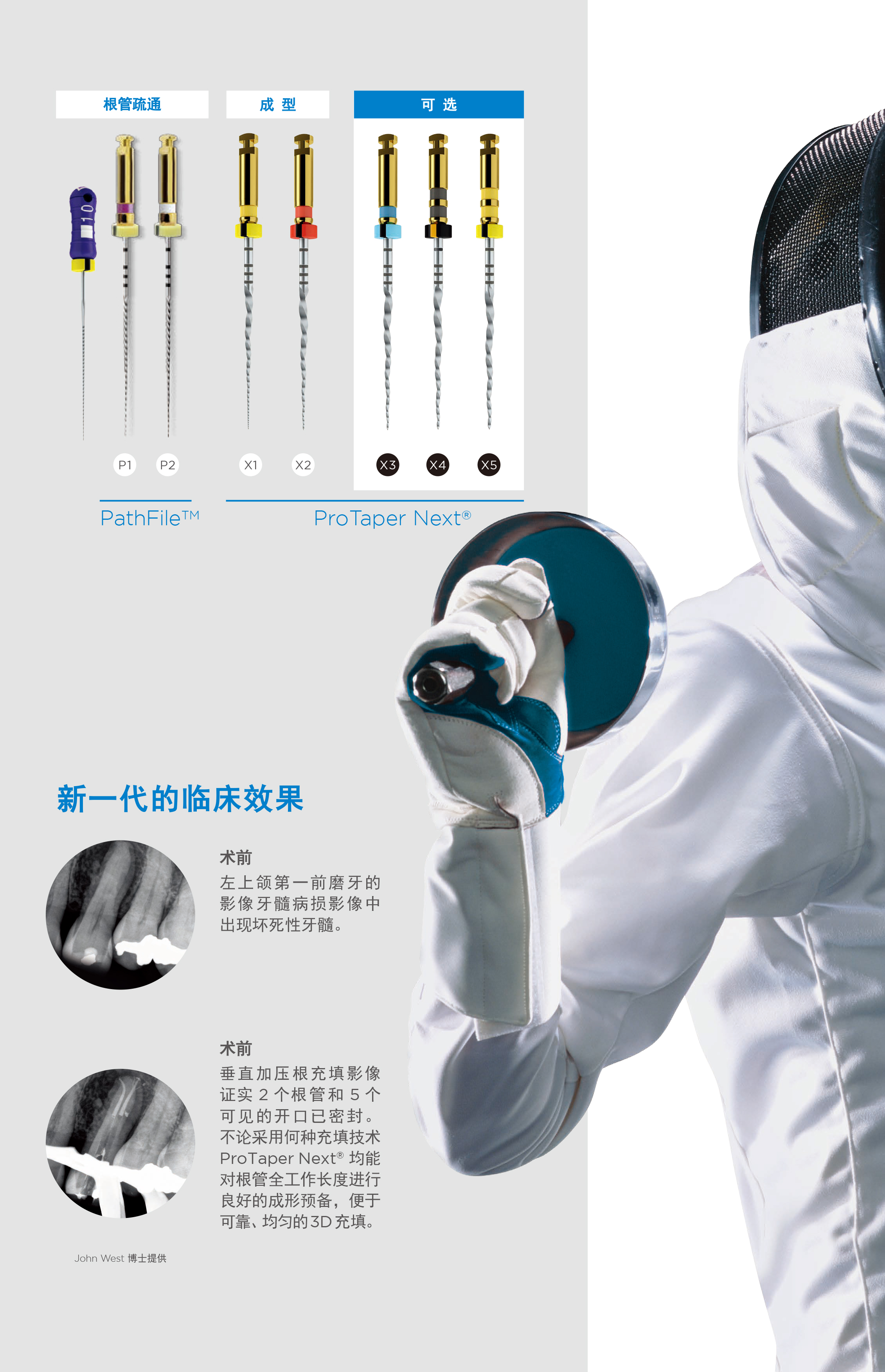 33306466907970466 1713257256681.jpg