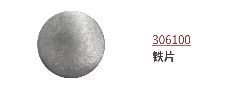 843-PZBTP306100.jpg