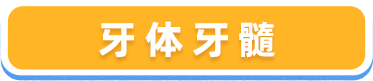 牙体牙髓