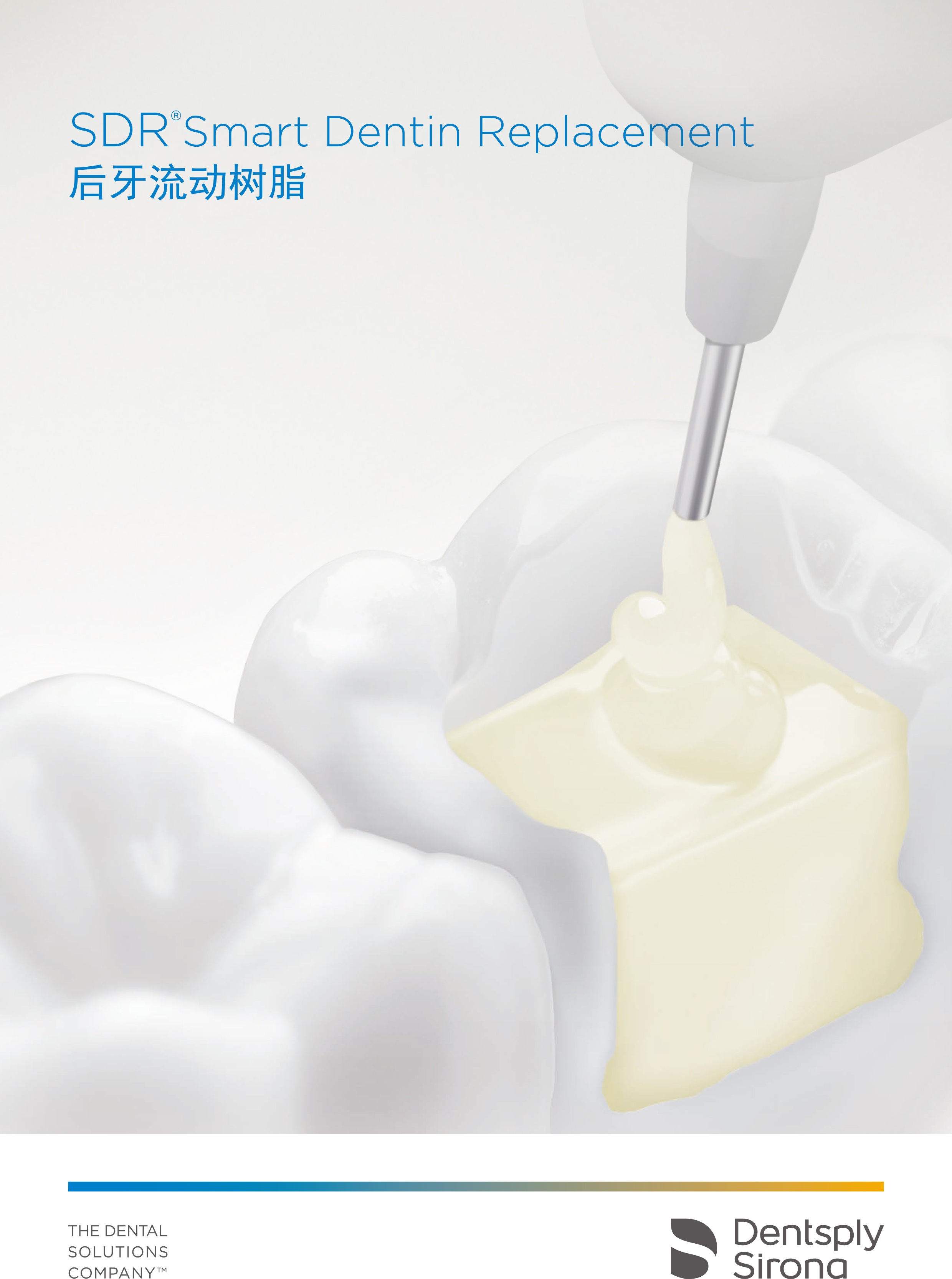 R1_SDR折页-1.jpg