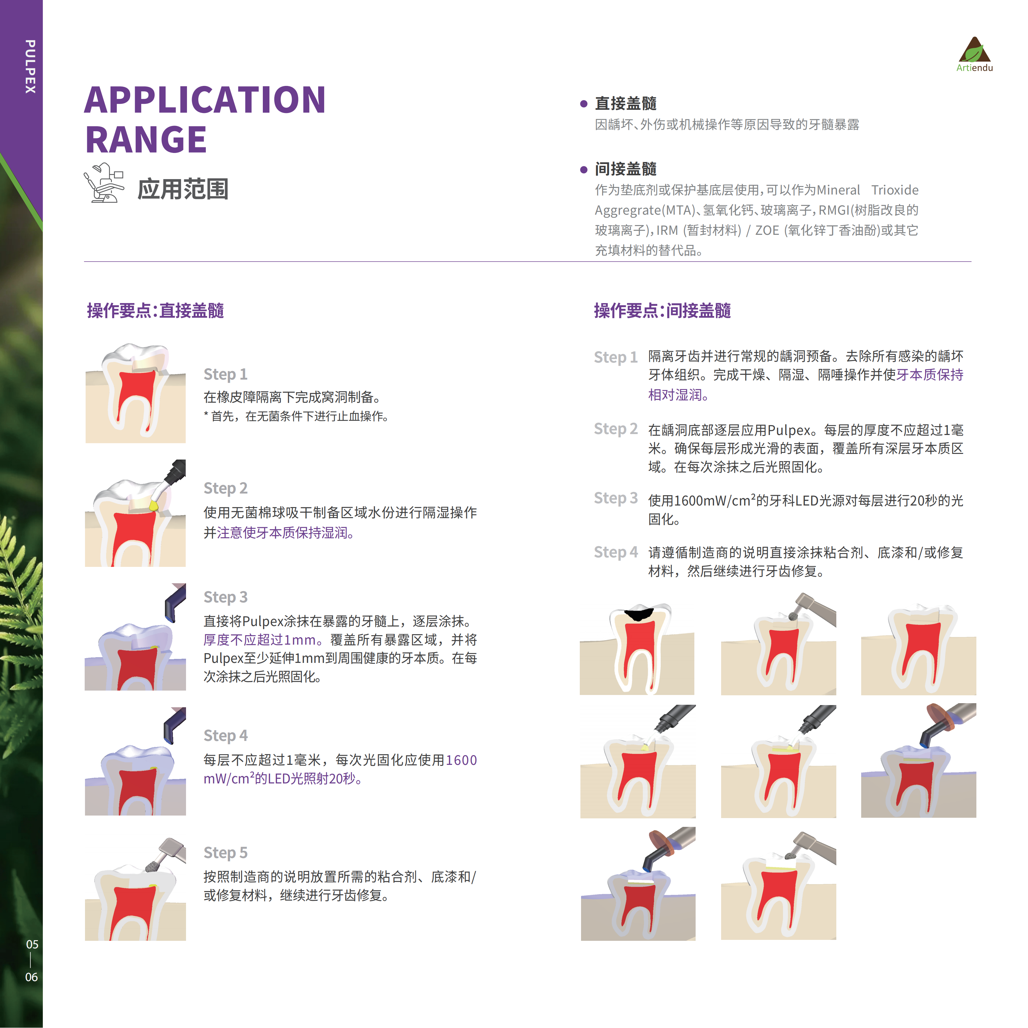 【中文彩页】天津红杉光固化补髓材料彩页_04.png
