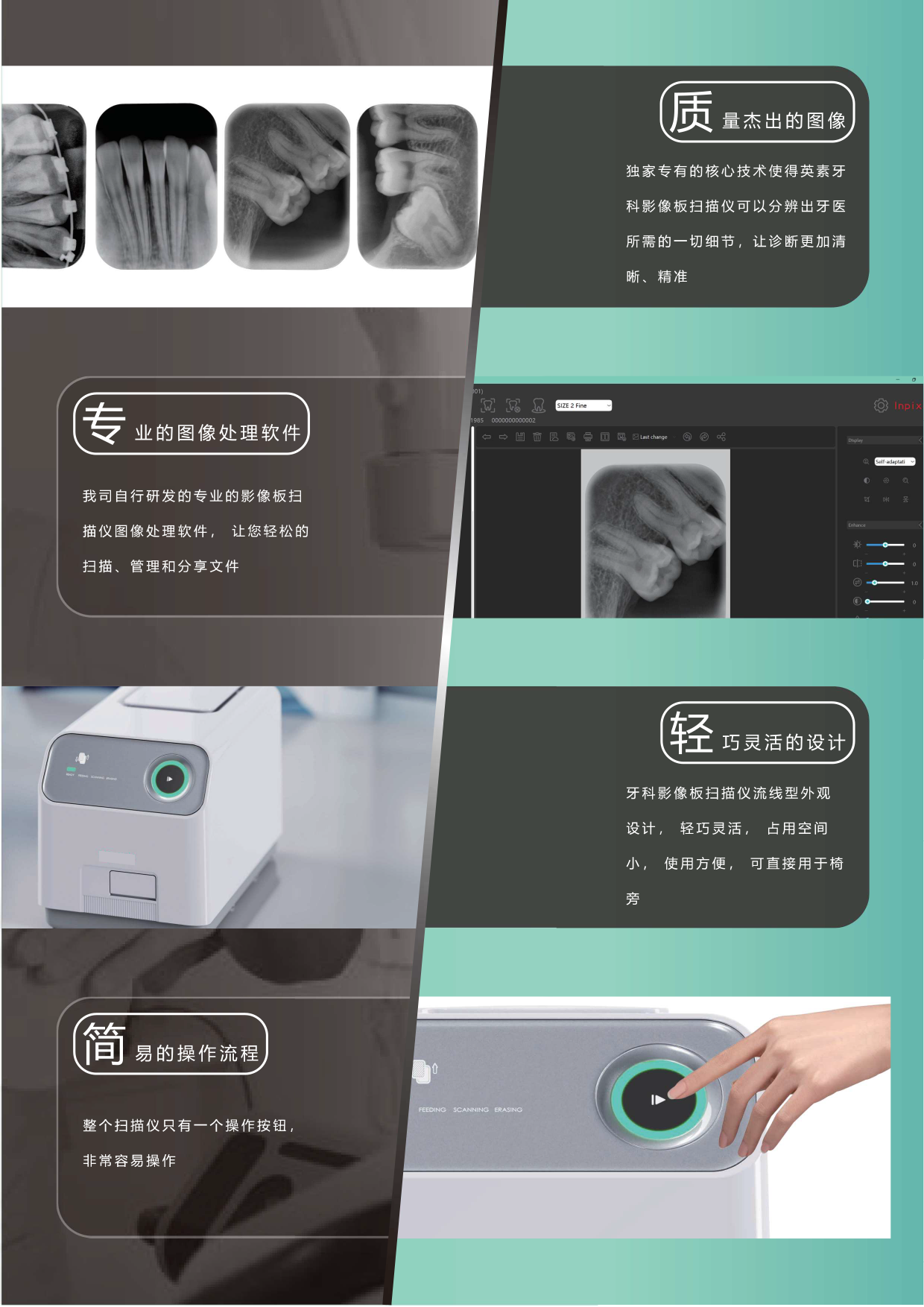 4311215342032725 MC1牙片宝中文中性-2.png