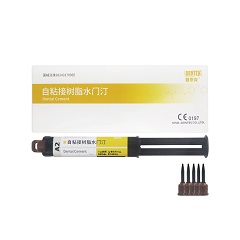 登泰克/DENTEX 自粘接树脂水门汀 A2，8.0g（基质3.2g 催化剂4.8g）双管包装，附件混合